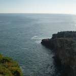 DSC00675-w740_h495